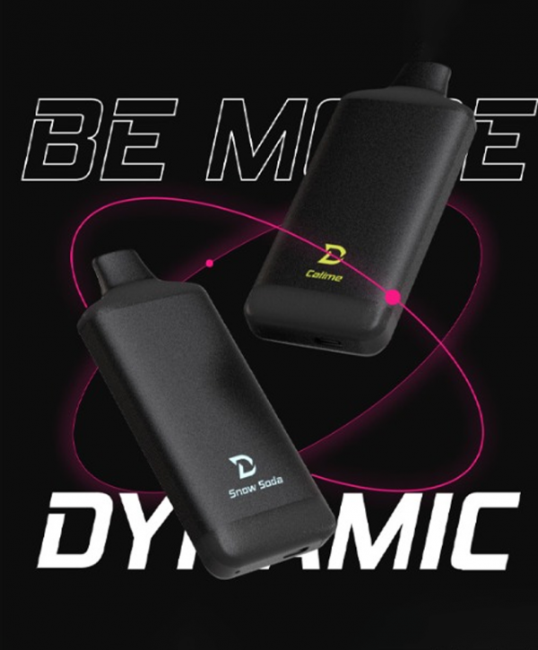 월드인터네셔널 다이나믹